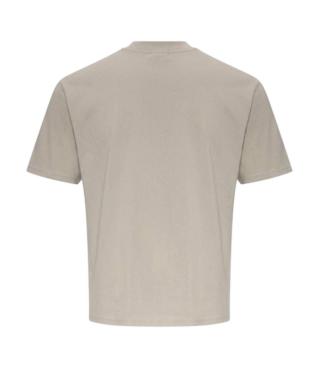 Womens/ladies Eco-jersey T-shirt Natural Stone Alternative Apparel-2