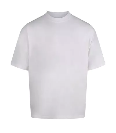 Mens Distortion Washed T-shirt Washed White Anthem