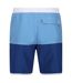 Regatta Mens Benicio Swim Shorts (Lake Blue/Royal Blue)