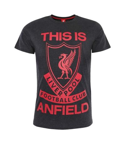 Liverpool FC Mens This Is Anfield T-Shirt (Charcoal/Red)