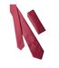 Mens textured tie & pocket square set one size berry Burton