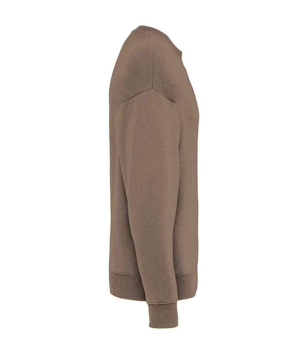 Womens/ladies oversized sweatshirt driftwood Native Spirit-3