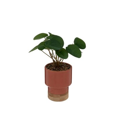 Plante Artificielle en Pot Col 26cm Pêche