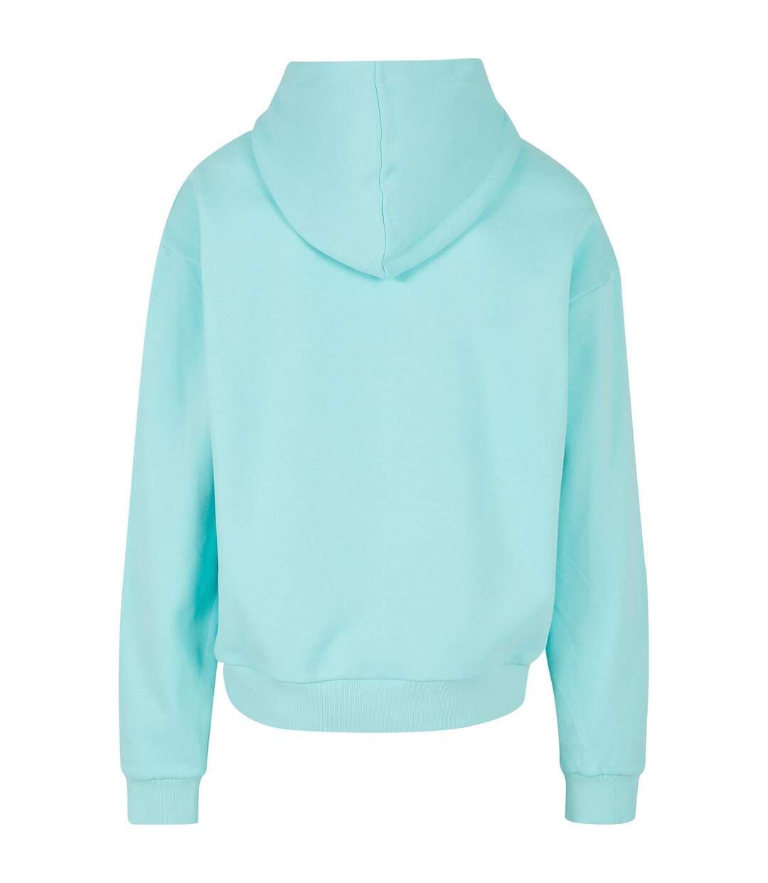 Sweat À Capuche Adulte Béryl Bleu Build Your Brand-2