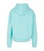 Sweat À Capuche Adulte Béryl Bleu Build Your Brand-2