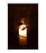 Vase en Verre Feuille Ofelia 40cm Transparent-4