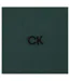 Mens Embroidered Collared Short-sleeved Polo Shirt Pine Green Calvin Klein-3