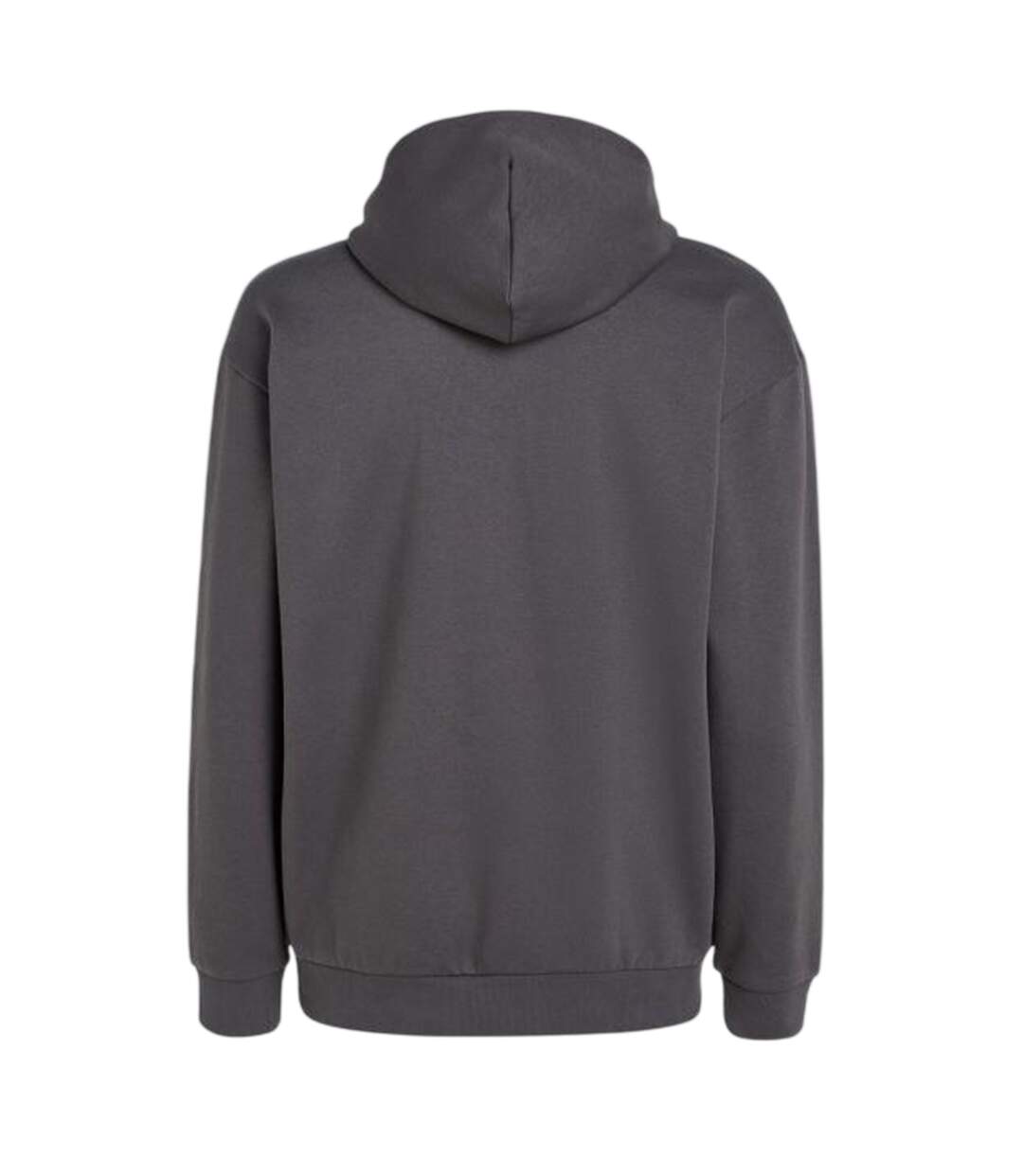 Sweat À Capuche Motif/style Impression Encre The Future Surf Society Homme Graphite O´Neill-3