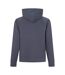 Veste À Capuche Manches Raglan Homme Gris Foncé Boss-2