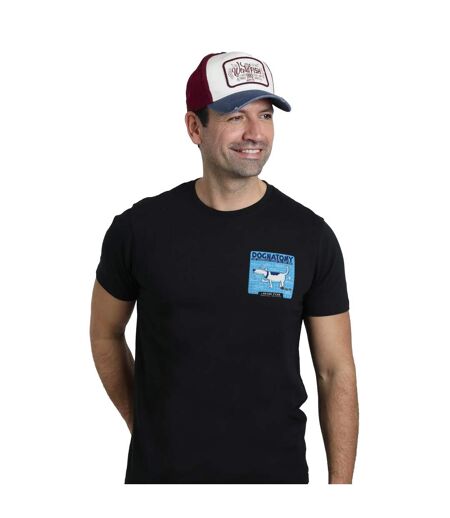 Haywood colour block baseball cap navy Weird Fish