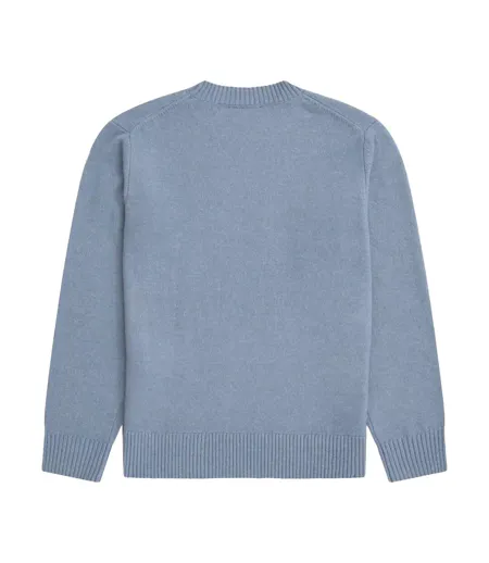 Pull Cosy Homme Bleu Animal