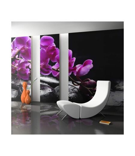 Papier Peint Moment de Détente : Orchidée & Pierres Zen II 270x450cm