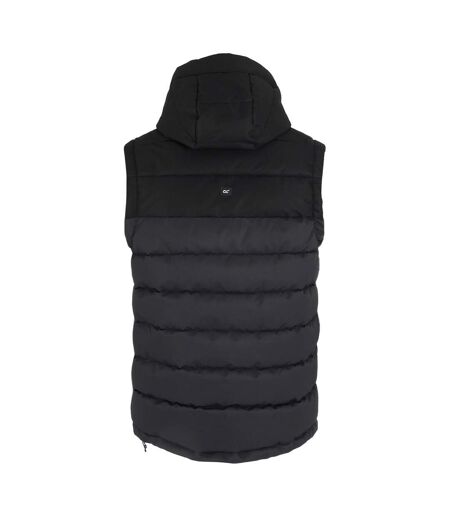 Veste Sans Manches Aldthorn Homme Gris Clair Noir Regatta