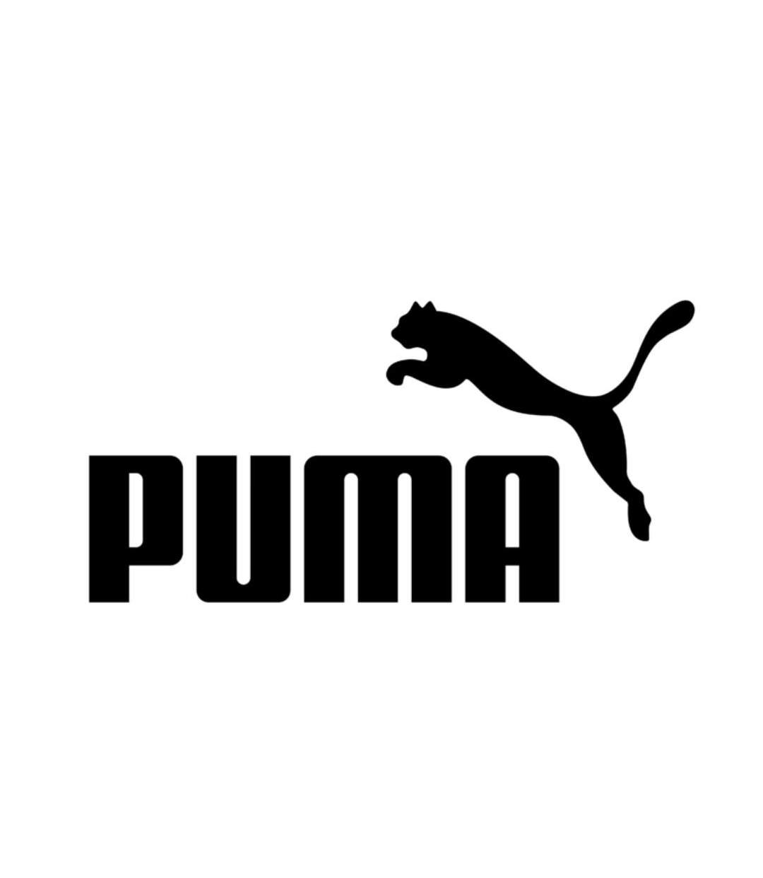 Chaussettes QUARTER PUMA QUARTER 6P 3052