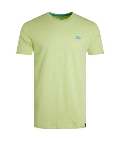 Mens fished branded t-shirt acid lime Weird Fish