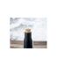 Dudinka Double Wall 500ml Flask One Size Black MidOcean-1