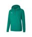 Sweat À Capuche Teamgoal Homme Vert Puma-1