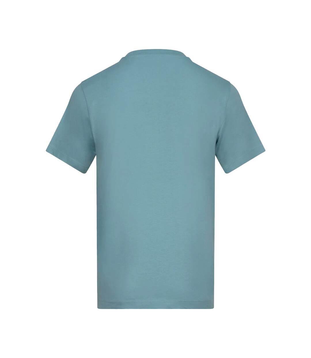 T-shirt Adulte Turquoise Awdis-2