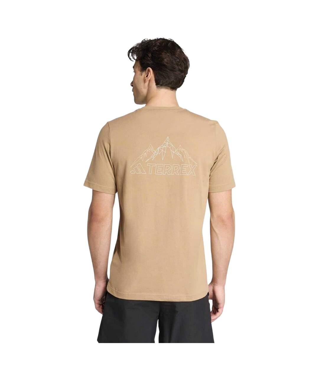 Mens Terrex Graphic Print T-shirt Brown Adidas-3