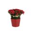 Composition Florale Pot Roses & Baies 25cm Rouge-1
