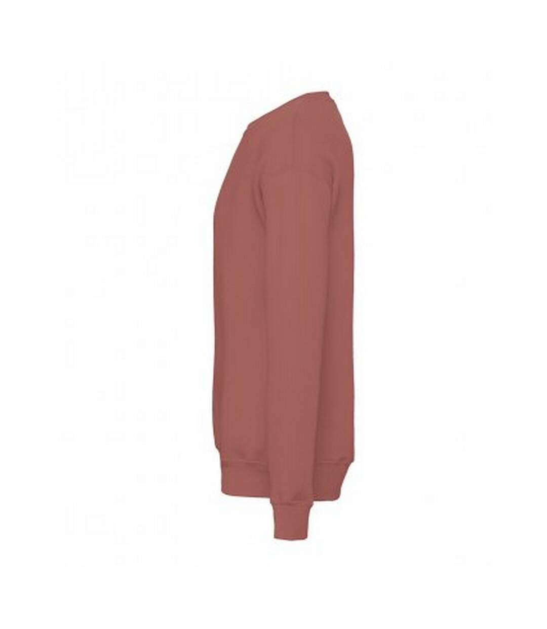 Bella + Canvas - Sweatshirt - Unisexe (Mauve) - UTPC3872