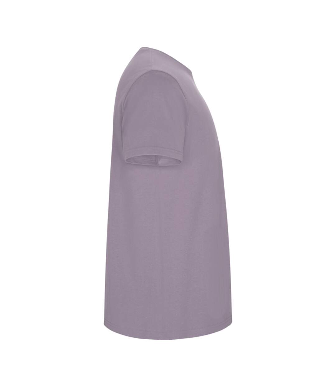 T-shirt Stafford Homme Lavande Roly-4