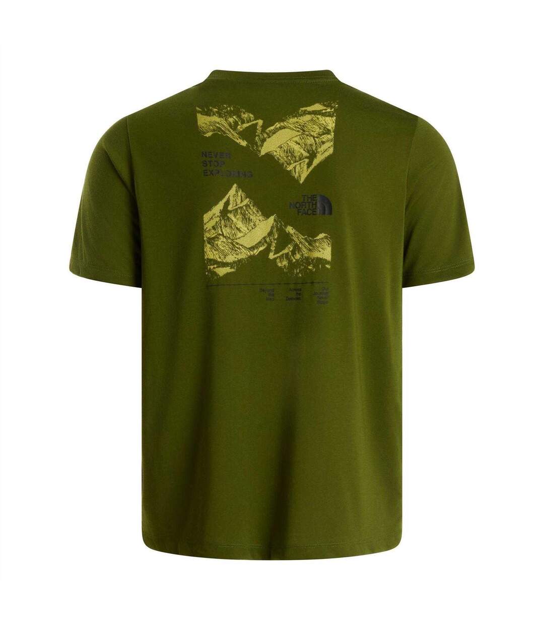 T-shirt Foundation Homme Kaki Sombre The North Face-2