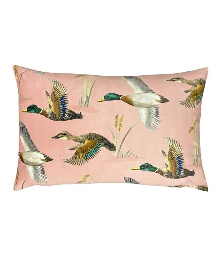Country duck cushion cover one size blush Evans Lichfield