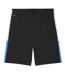 Mens Individualliga Football Shorts Black White Puma-2