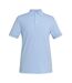 Brook Taverner Mens Hampton Cotton Polo Shirt (Sky Blue Marl) - UTPC5248