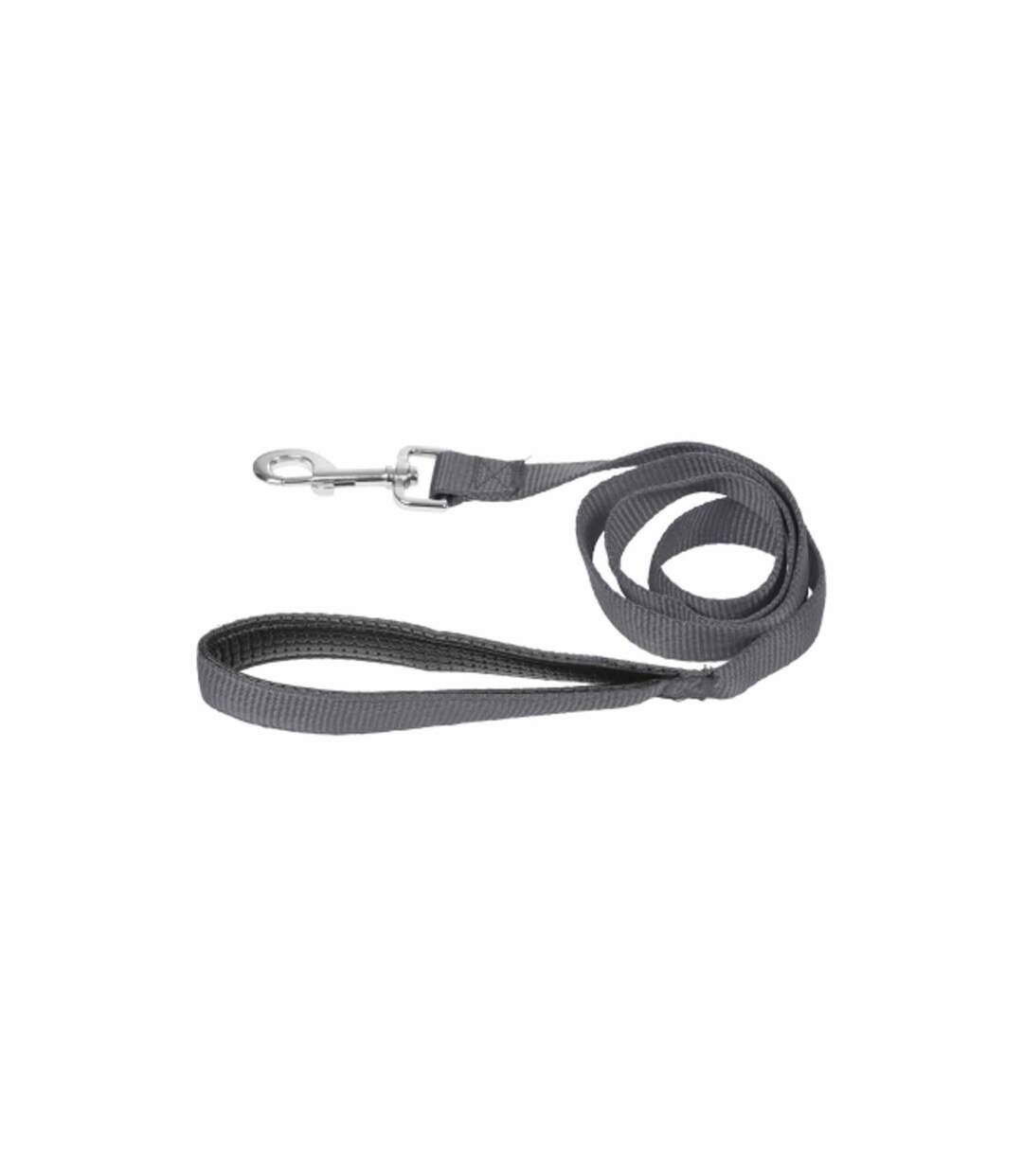 Laisse pour Chien Essentiel 120cm Anthracite-1