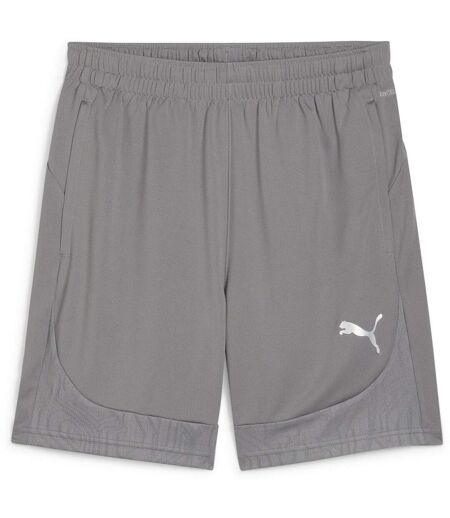Mens Teamfinal Football Shorts Castle Grey Silver Puma