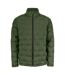 Womens/ladies Plain Full Zip Hoodie Ivy Green Clique-1