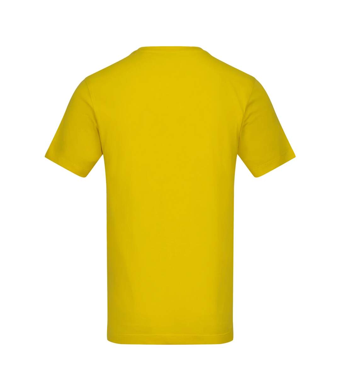 T-shirt Adulte Jaune Awdis-2