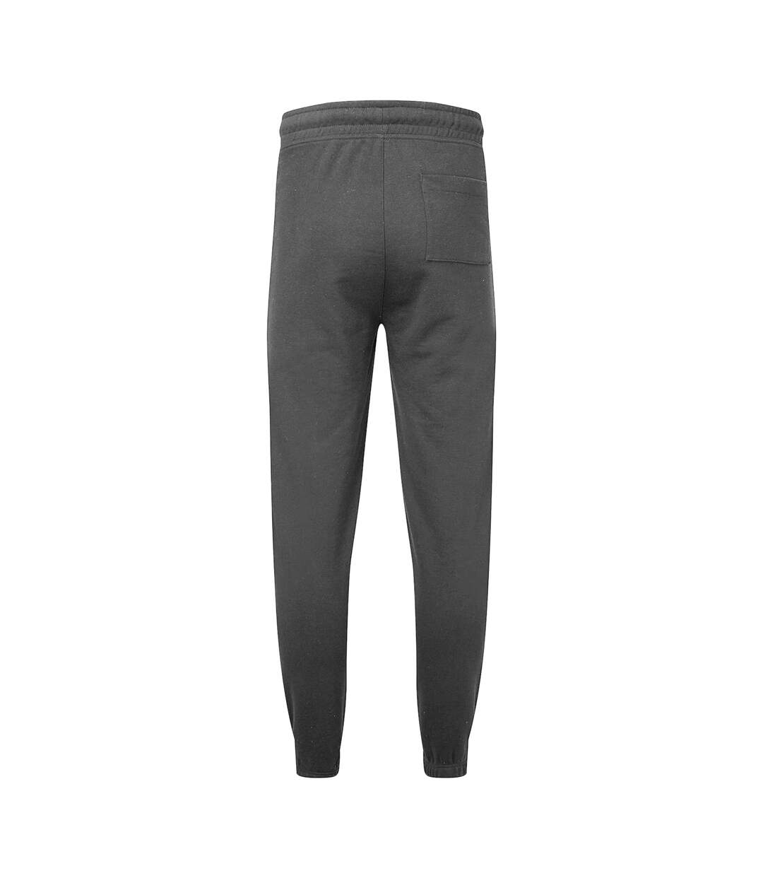 TriDri - Pantalon de jogging - Homme (Anthracite) - UTRW8200