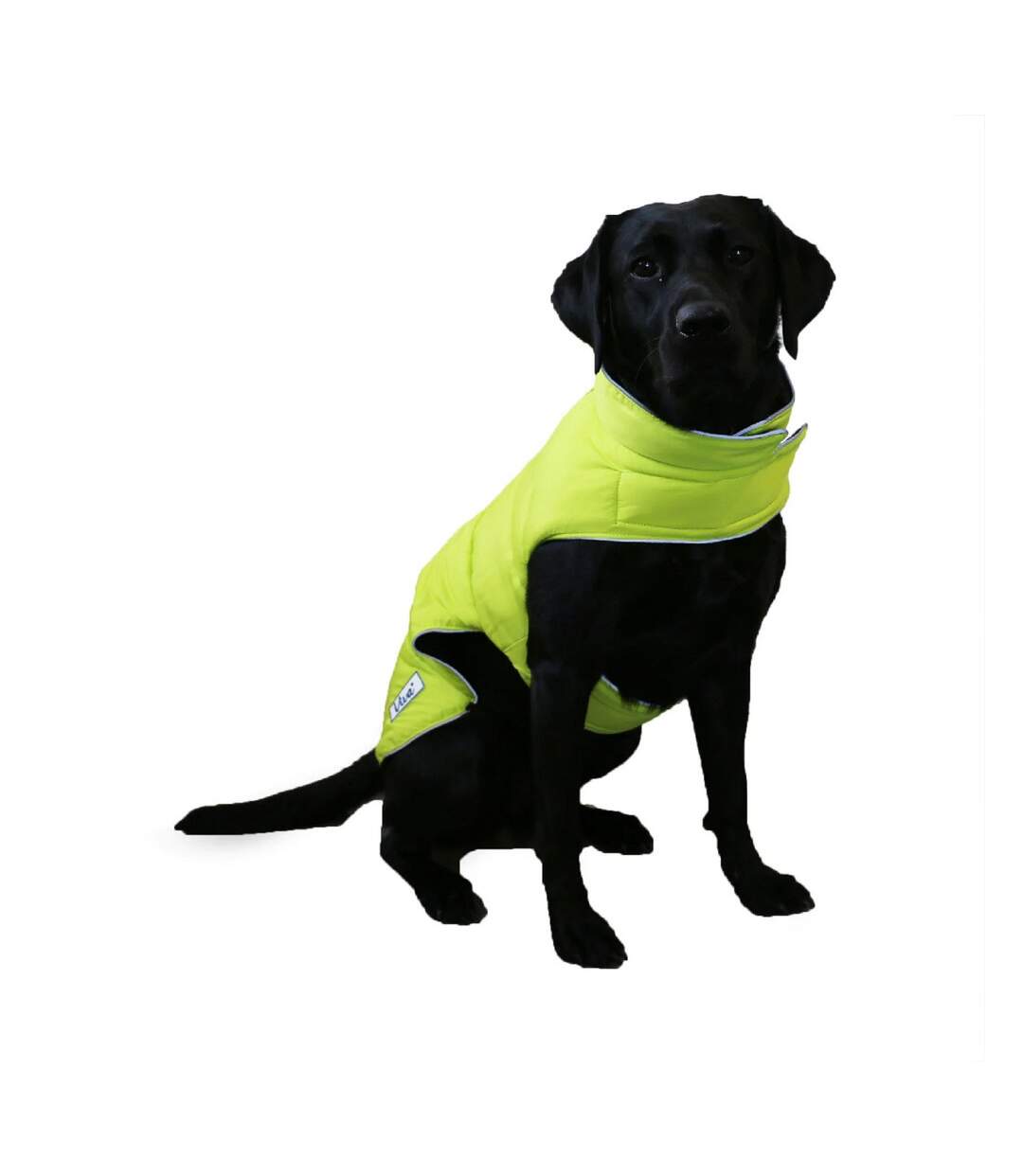 Viva hi-vis reversible dog coat s neckline: 40cm-63cmlength: 30cm black/fluorescent yellow Ancol-2