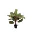 Plante Artificielle en Pot Peacock 60cm Vert