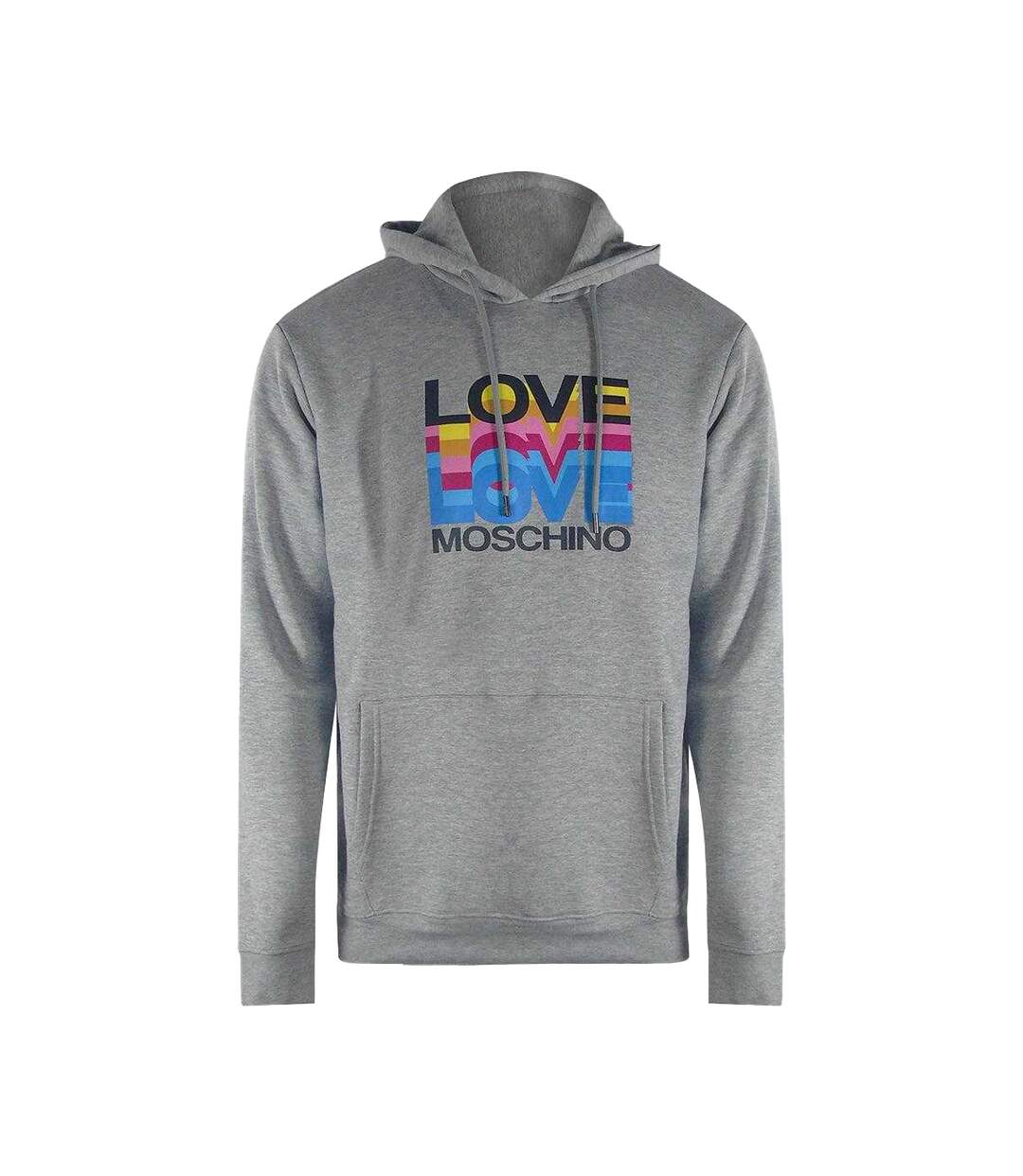 Sweat À Capuche Motif/style Multiples Logos Femme Gris Love Moschino-1