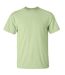 Gildan Mens Ultra Cotton Short Sleeve T-Shirt (Pistachio)
