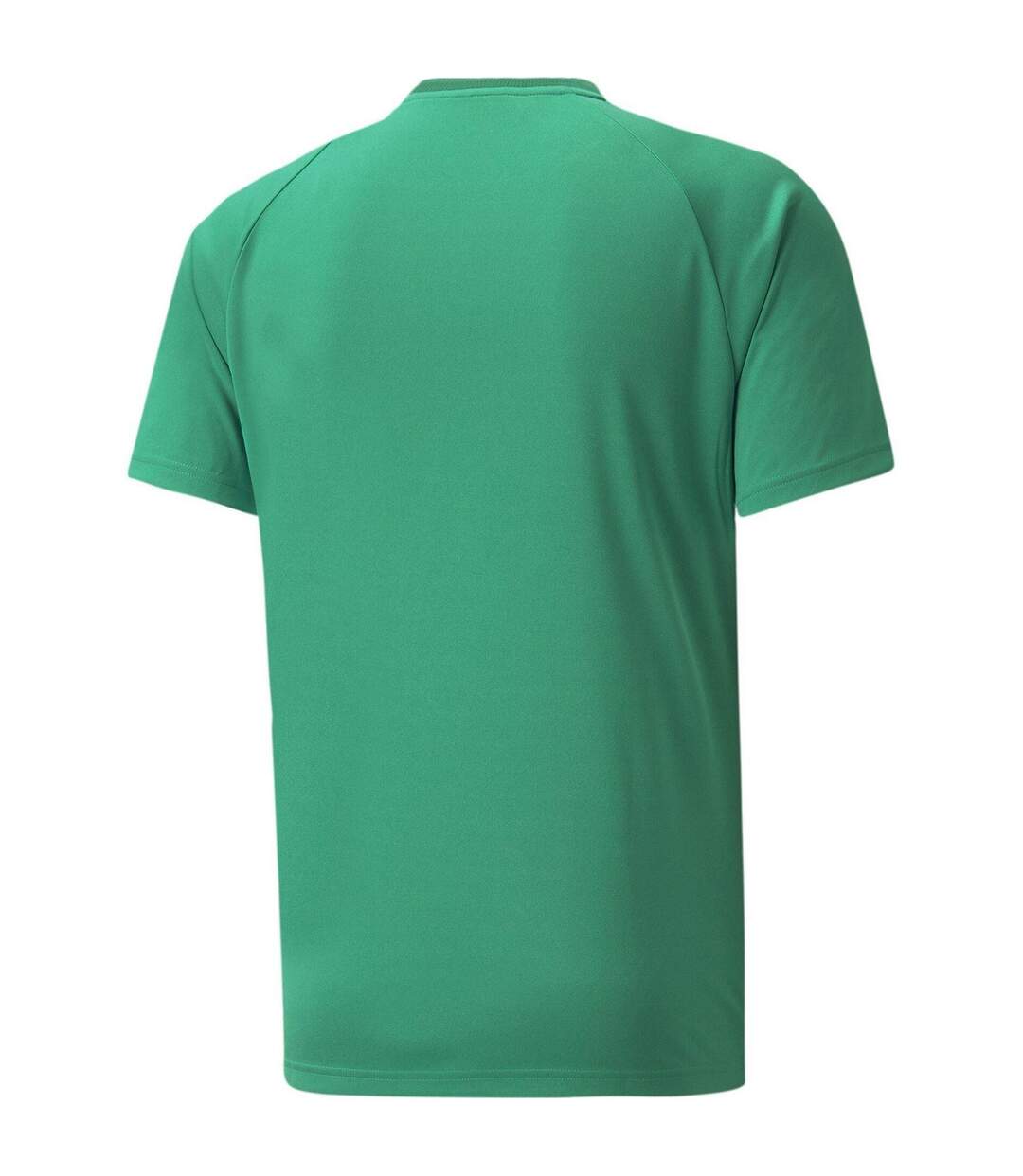 Mens Teamvision Football Jersey Green White Puma-2