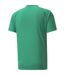 Mens Teamvision Football Jersey Green White Puma-2