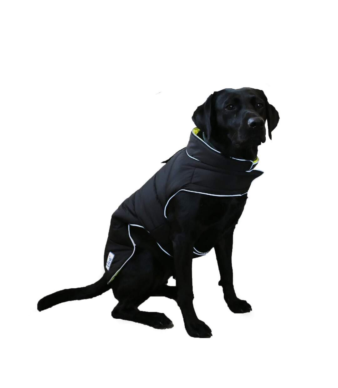 Viva hi-vis reversible dog coat s neckline: 40cm-63cmlength: 30cm black/fluorescent yellow Ancol-1