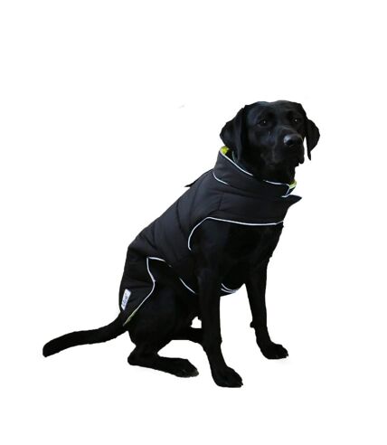 Ancol Viva Hi-Vis Reversible Dog Coat (Black/Fluorescent Yellow) (S - Neckline: 40cm-63cm- Length: 11.81in) - UTTL5445