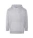 Ecologie Unisex Adult Crater Recycled Hoodie (Gray)