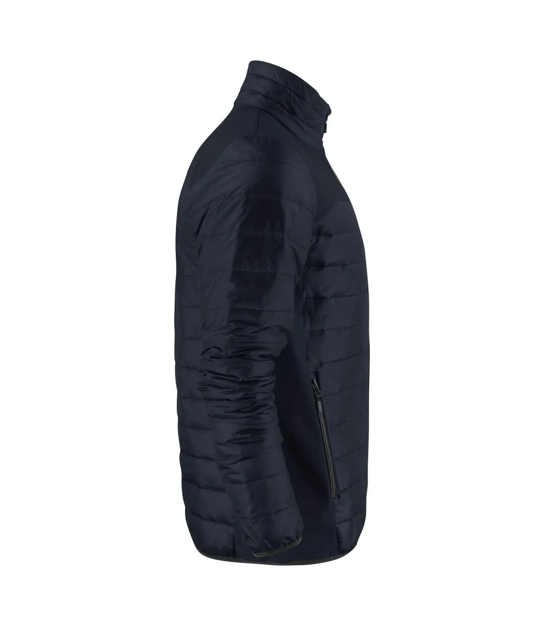 Doudoune Matelassée Expedition Homme Bleu Marine Foncé Printer-2