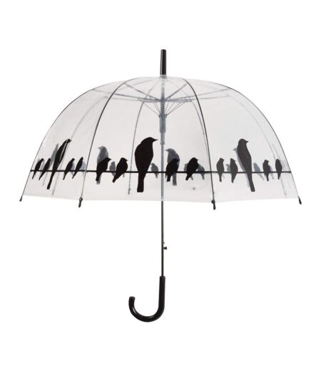 Parapluie transparent oiseaux sur un fil