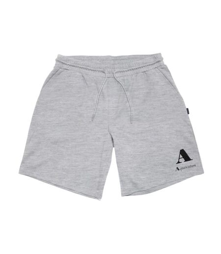 Mens Jersey Shorts Grey Aquascutum