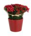 Composition Florale Pot Roses & Baies 25cm Rouge-1