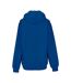 Sweatshirt À Capuche  Pour Homme Bleu Roi Vif Russell-2