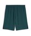 RC lens short réplica exterieur homme puma 23/24-2